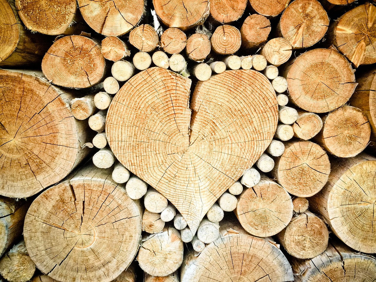 Hart - Liefde en onze Diepste Angst