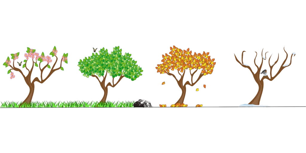 Bomen - Verandering Aard van het Leven