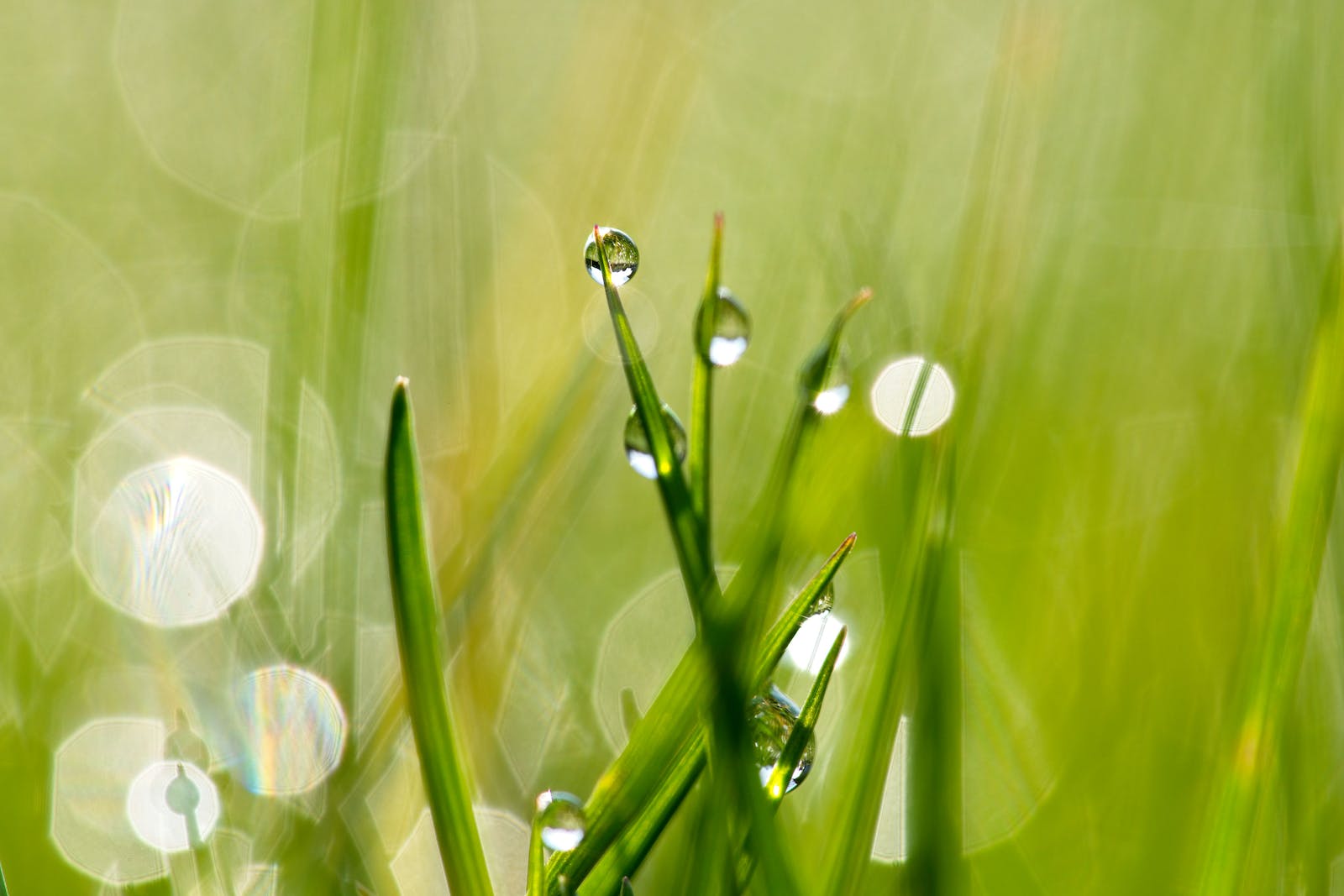 Waterdruppels - Gemis en BDE