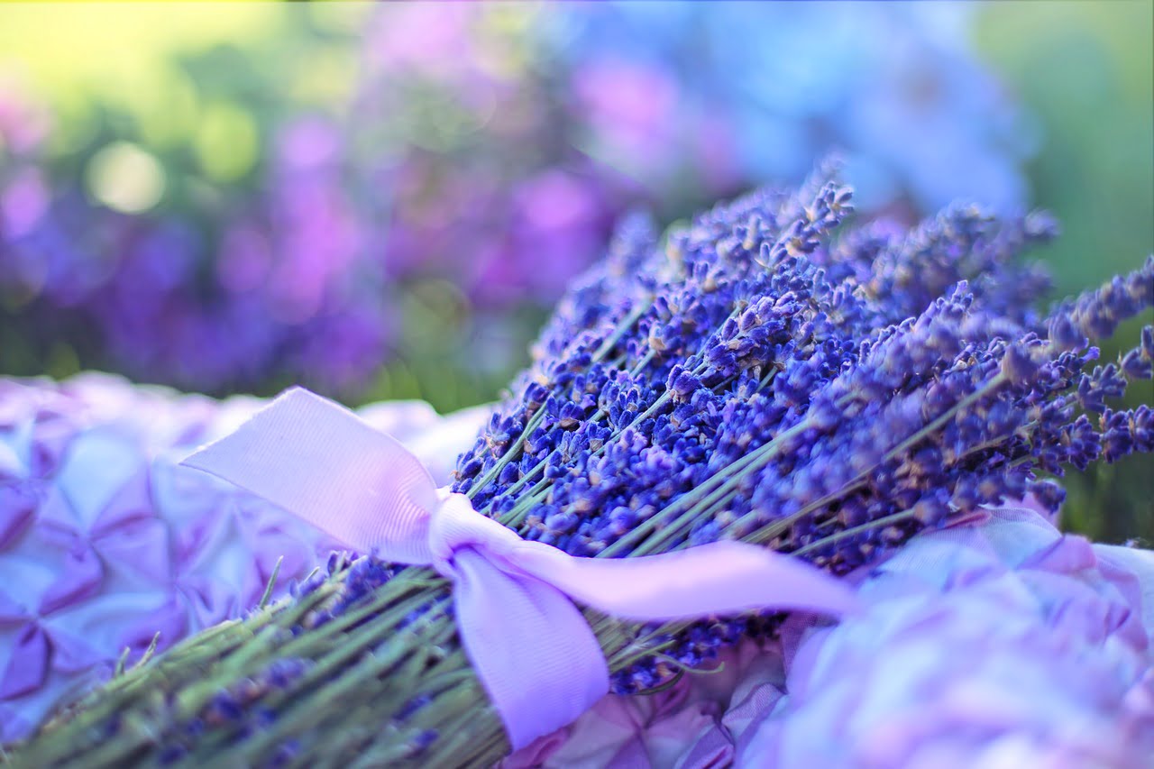 Lavendel - Spiritueel en Transformatie