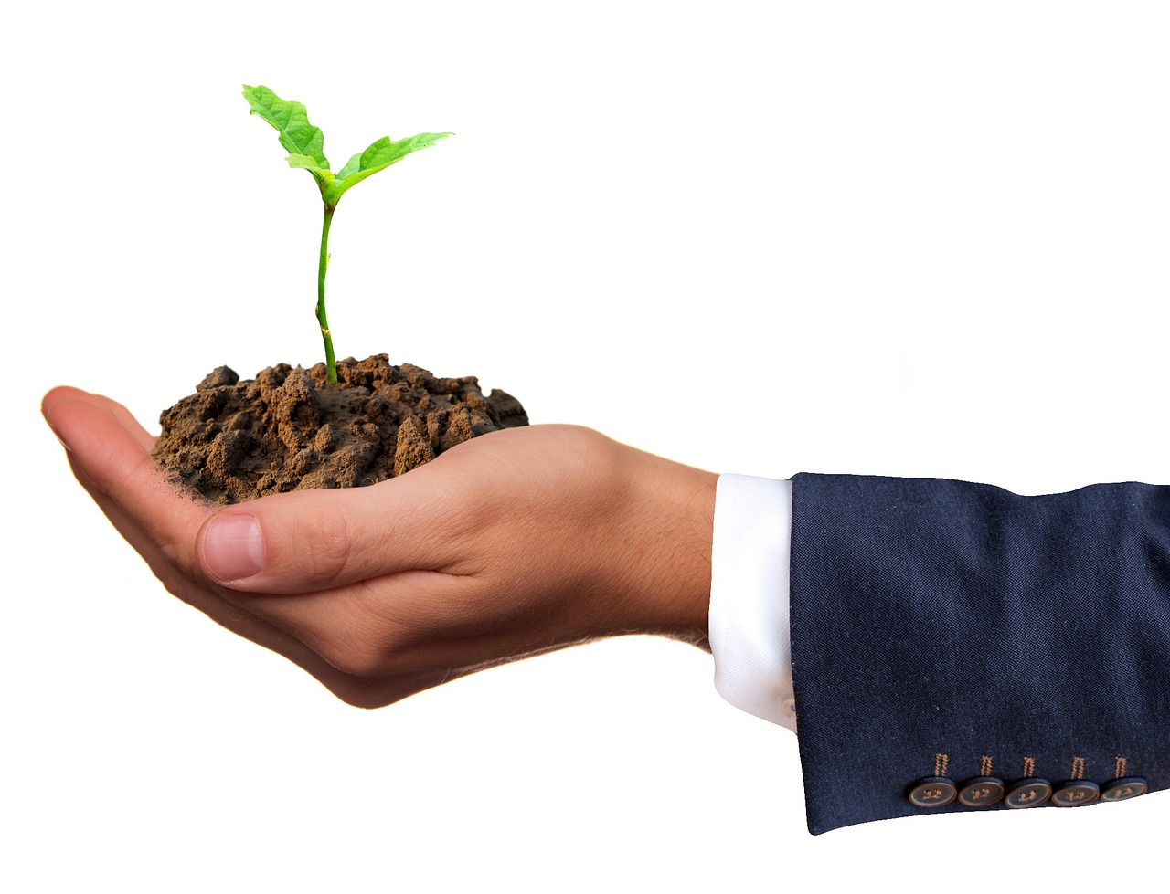 Hand met Plantje - Groei en Transformatie
