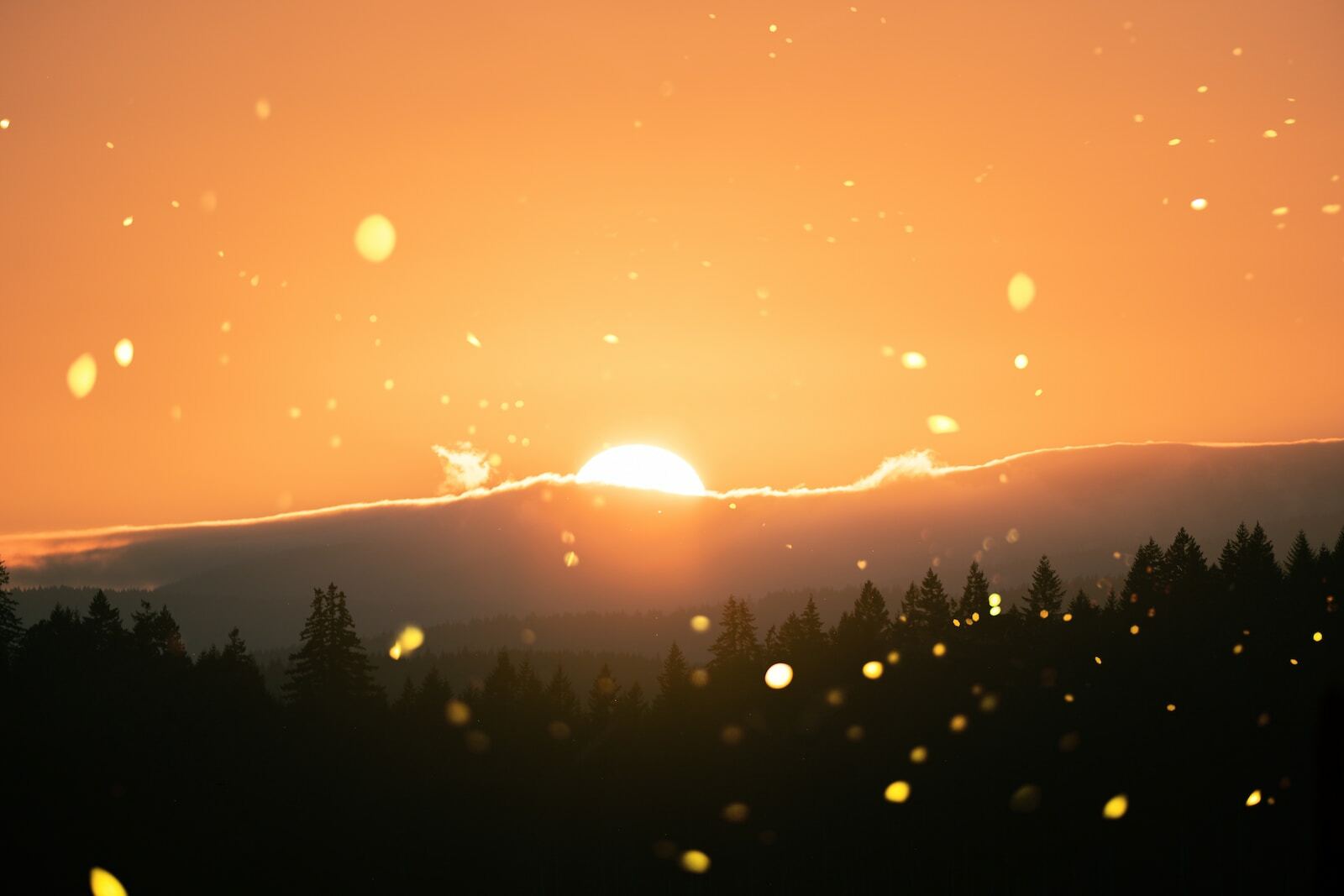 Zonsondergang - BDE en Emoties
