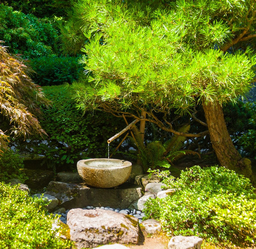 Water - Chi Neng Qigong en Healing