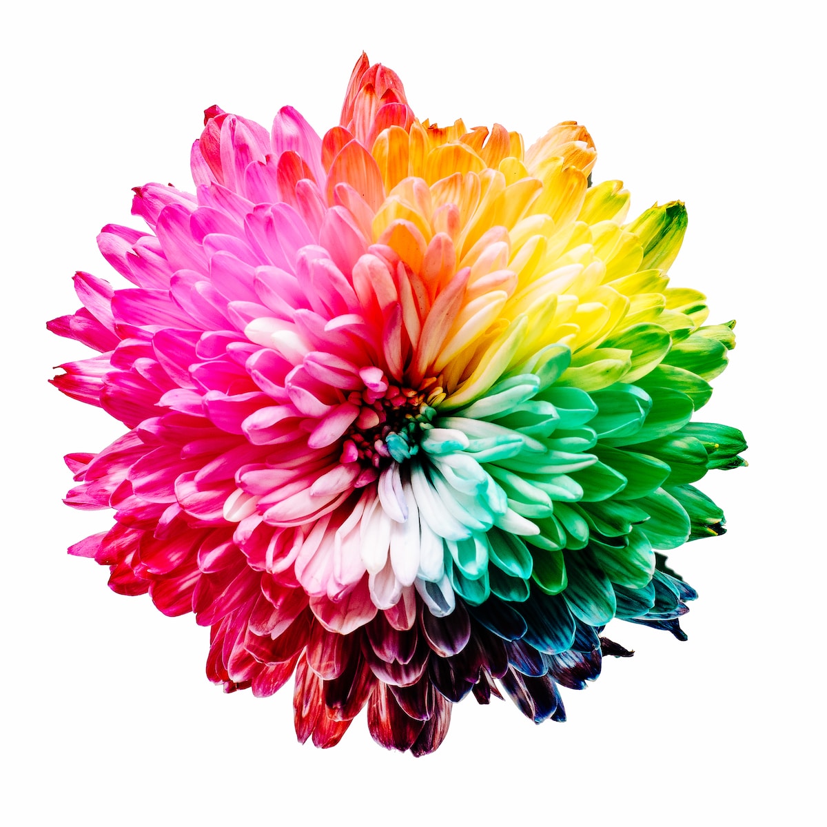 aurareading-kleuren-chakra