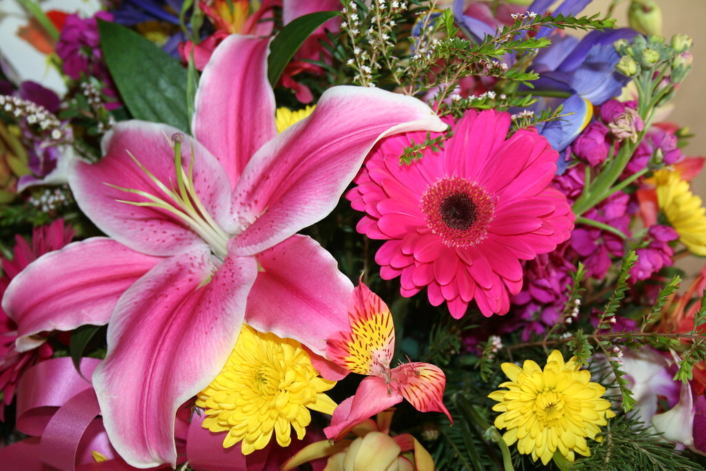 Bloemen - Ziel en Dood