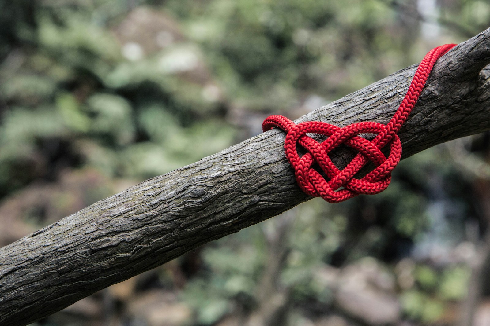 Tak met rood hart - vertrouwen eerste chakra
