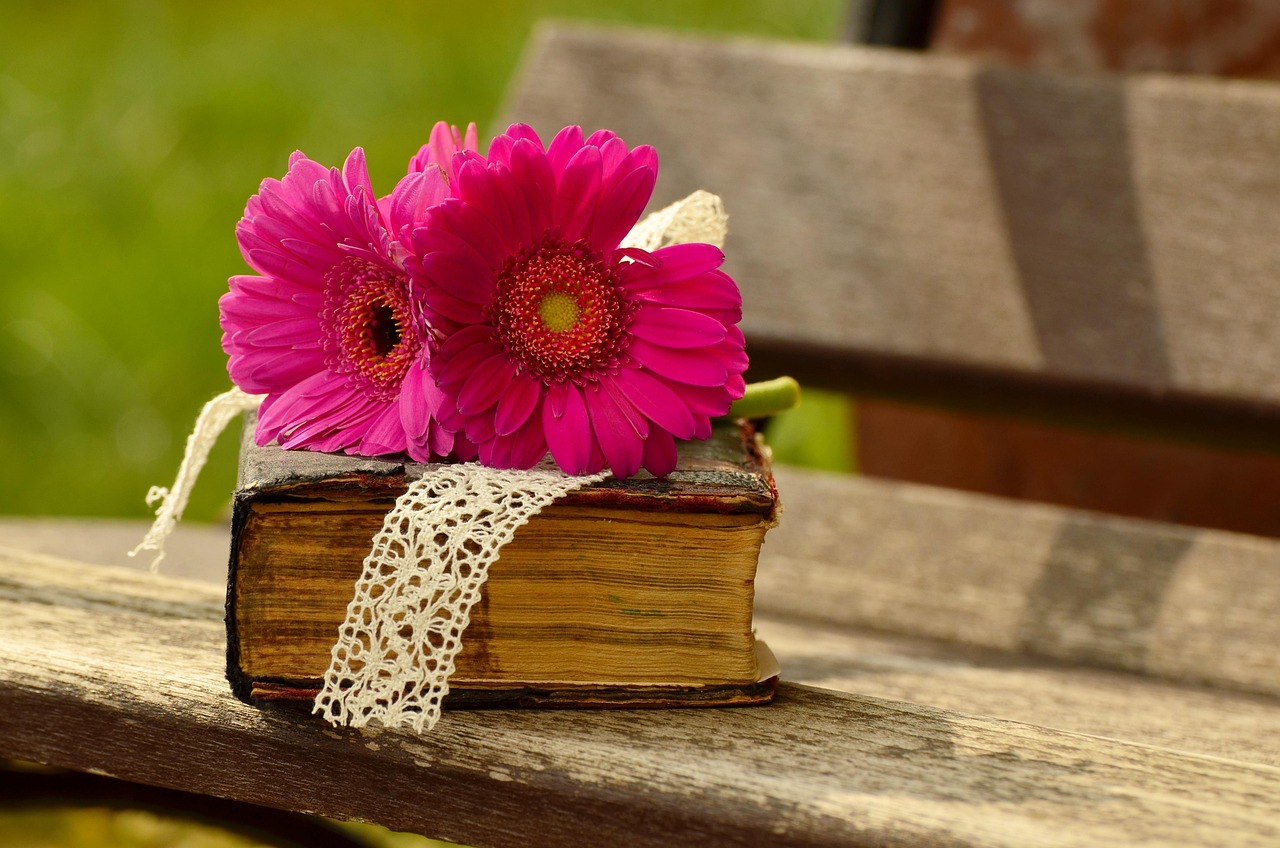 Roze Bloem - Hartchakra en Zachtheid