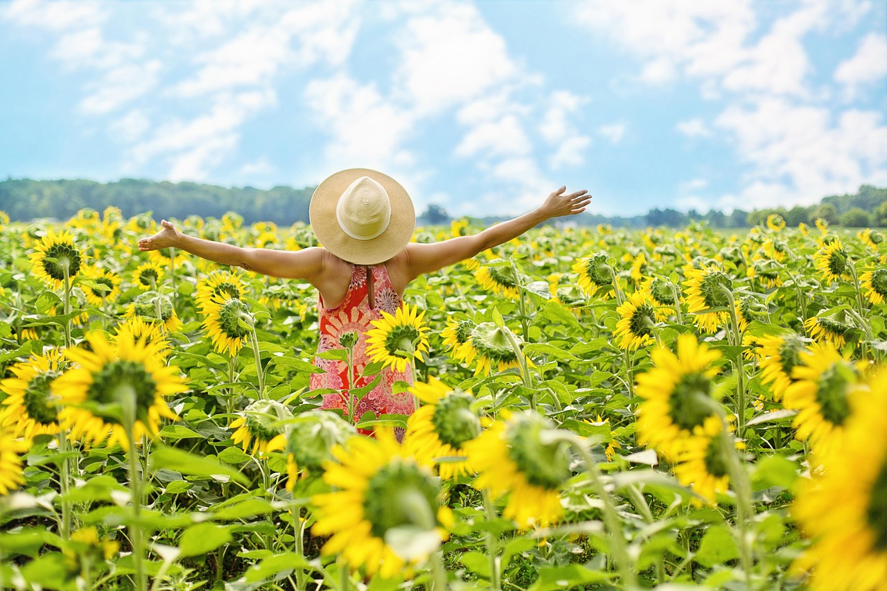 Zonnebloemen - derde chakra en vitaliteit